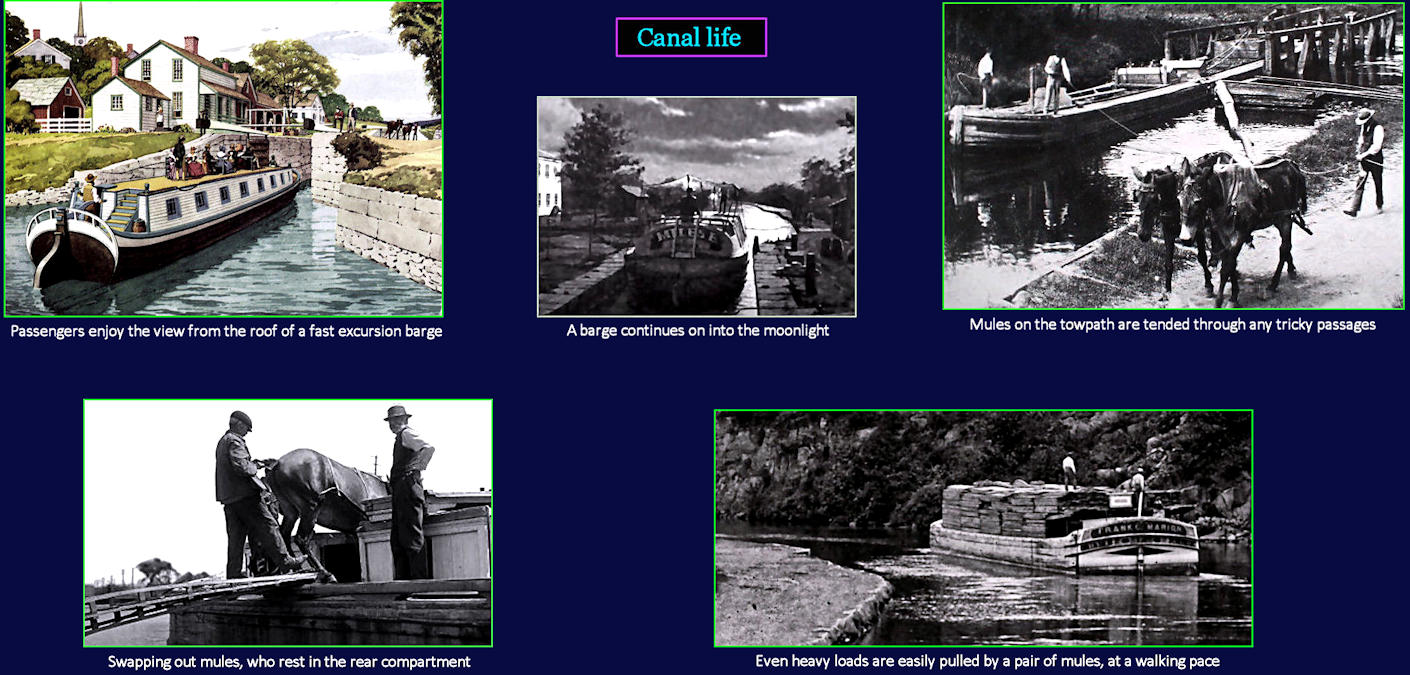 Bargemen and Mules, Erie Canal